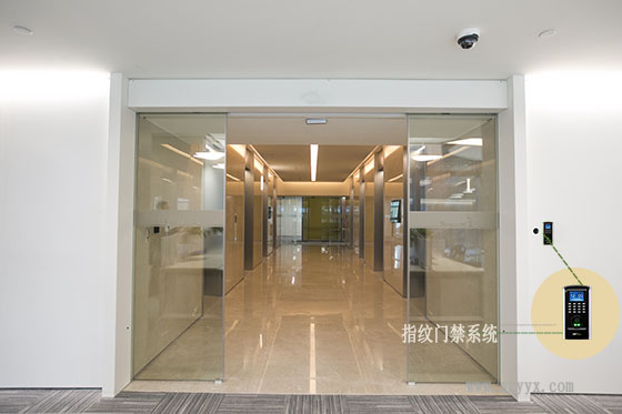 钢化玻璃三级片麻豆视频-腾讯案例图片